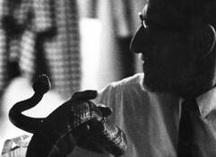 Looking Into Snake's Eyes by James R. Holland