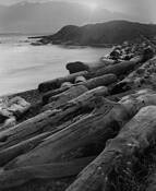 Sunset and Driftwood by James Burton