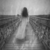 Carried in on the Wind by Heather McAlister