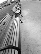 Benches by Laura Hopkins