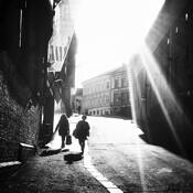 Afternoon Light by Liz Palm