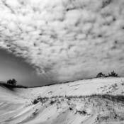 Driving by the Dunes by Rebecca Bruyn
