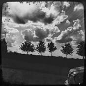 Road Trip by Roberta Lynn Ledbetter