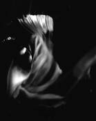 Untitled #1 by Larry Gregory