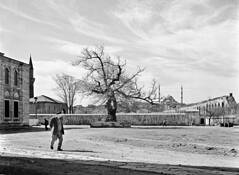 Istanbul #1 by Woody Campbell