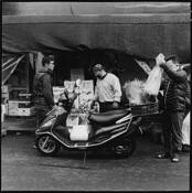 Stop and Go by Kip Kania