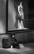 To Have and Not by Tom Peterson