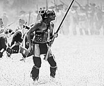The Warrior by Jim Cook
