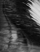 Lost in the Water 1 by James Hunt