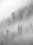 Stevens Pass Storm 4160 by Bob Neiman