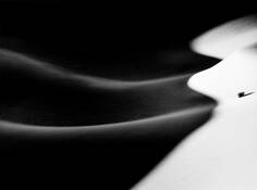 Shadow by Bruce Wehman