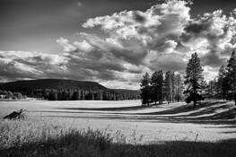 Teanaway Valley by Craig Eilers