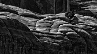 Park Avenue Detail by Daniel Ruf