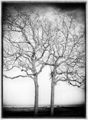 It Happens Every Winter by Kerry R. Watson