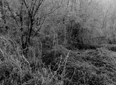 Sanctuary 8 by Malgorzata Kesik-Rymuszka