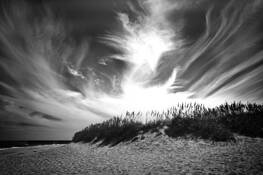 First Light by Mary F. Ruppert