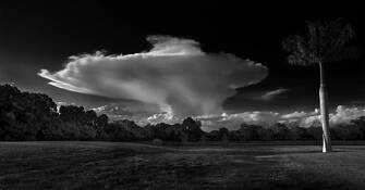Lowes Pond Study by Richard Chirichillo