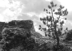 Untitled 12 by Ron Plumhoff