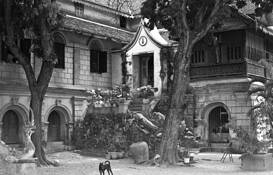 Chiang Mai Textures by James N. Vedder