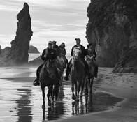 Bandon Horses 5476 by Bob Neiman
