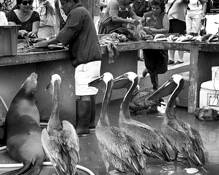 Lunchtime by Bob Bader