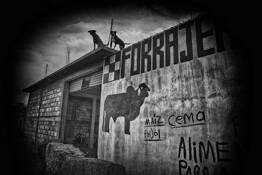 Watch Dogs by C.J. Pressma