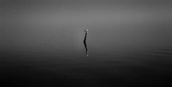 Alone on an Island by Cody Ornbaun