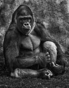 Back at You by Dennis Fritsche