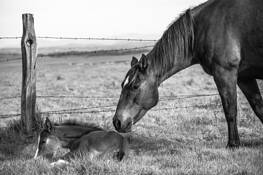 Eyes on You by Marshall Gould
