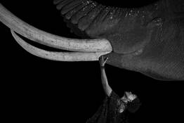 Bigger Than Us by Oliver Klink