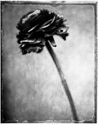 Decayed Time 1 by Steven Crawford