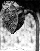 Decayed Time 10 by Steven Crawford