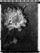 Decayed Time 5 by Steven Crawford