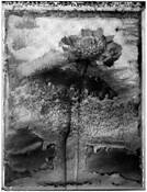 Decayed Time 8 by Steven Crawford