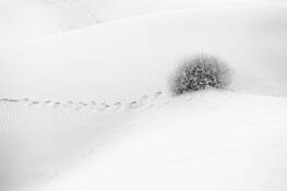 You Are My Destiny by Swee Ho Lim