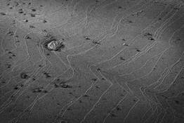 Lines in the Sand by Bernard Werner