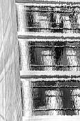 Reflect Study 1 by Dennis Usdan