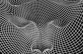 Facial Lines by Gerald Shonkwiler