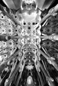 Sagrada Familia Ceiling by Gerald Shonkwiler