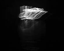 Untitled by Kenneth Evans