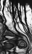Face in the Water by Larry Gregory