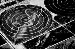 Lines and Forms by Laurits Haaning