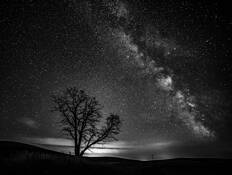 Palouse Night Sky & Tree 2 by Bob Neiman
