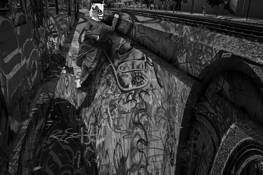 Graffiti Gremlin by Dolores Smart