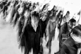 Meditation by Jos V. Desmedt