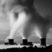 Genie by Mihai Florea