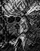 Photocubism by Roger Lieberman