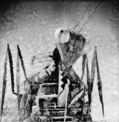 End of Time by Victoria Ruderman