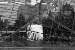 World Trade by Sheila Bodine