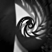 Spiral by Steven Stanger